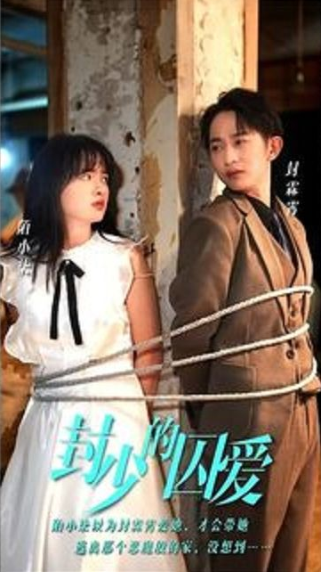 封少的囚爱第100集(大结局)