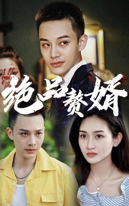 绝品赘婿第55集