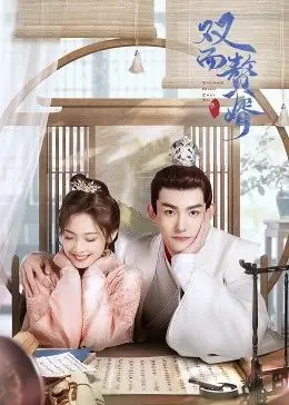 双面赘婿 第二季第01集