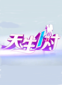 天生一对第20130604期