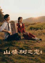 山楂树之恋2025(全集)