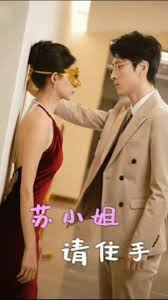 苏小姐请住手第51集