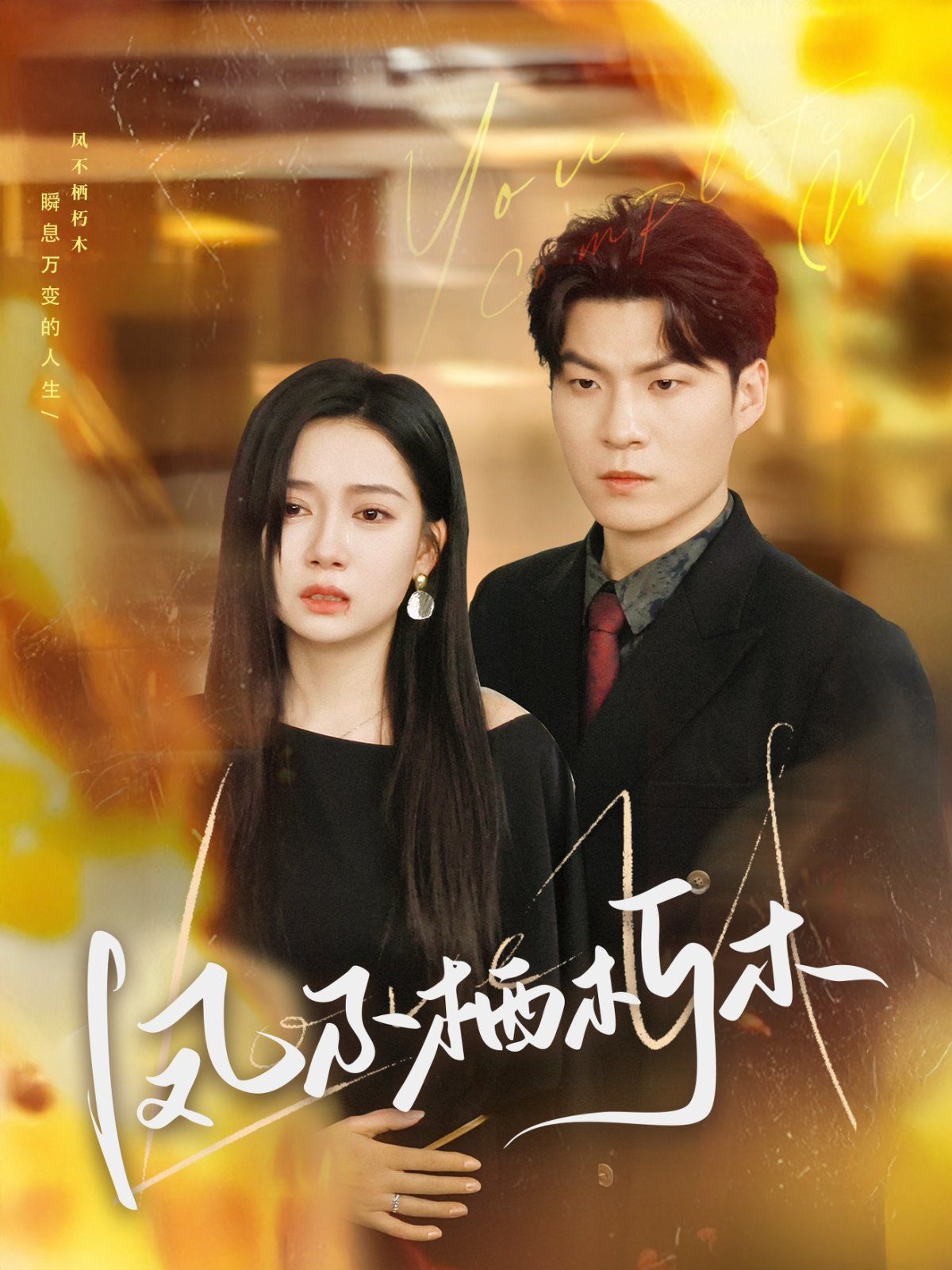 凤不栖朽木第01-30集