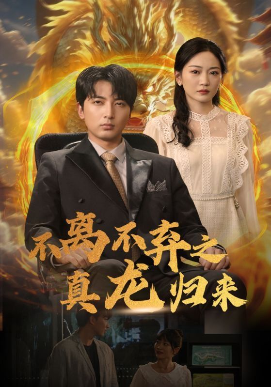 不离不弃之真龙归来第41-60集