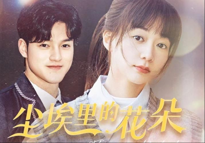 尘埃里的花朵第1-30集