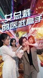 女总裁的医武高手第1-20集