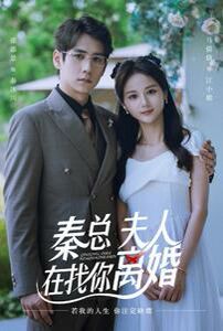 秦总，夫人在找你离婚第21-40集