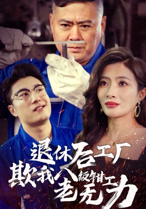 退休后工厂欺我八级钳工老无力第10集