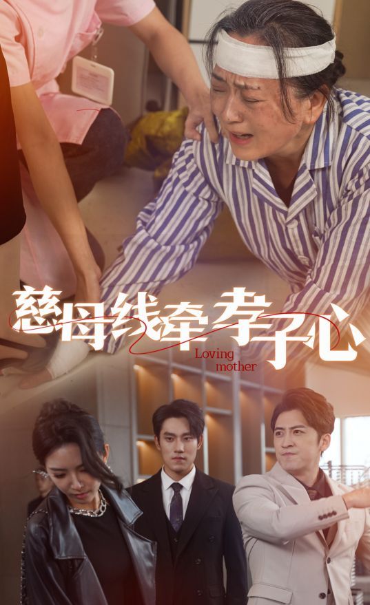 慈母线牵孝子心第01-30集