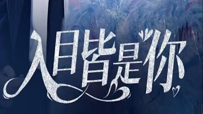 入目皆是你全集(大结局)