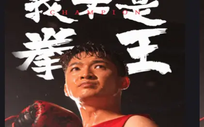 我不是拳王第21-40集