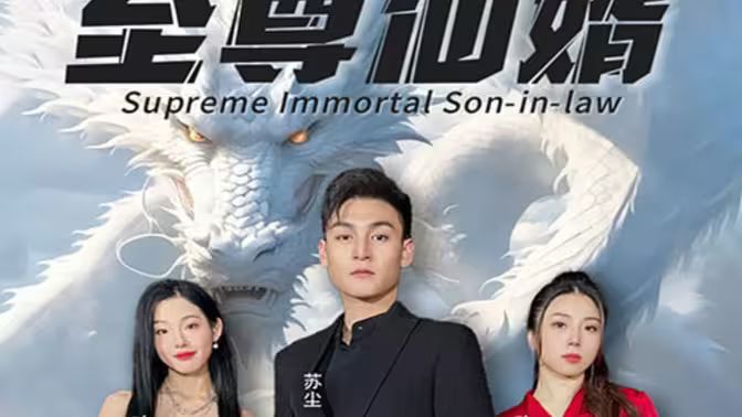 至尊仙婿第41-60集