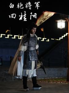 白袍将军回桂阳第10集