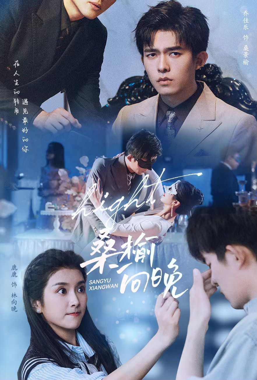 桑榆向晚第27集