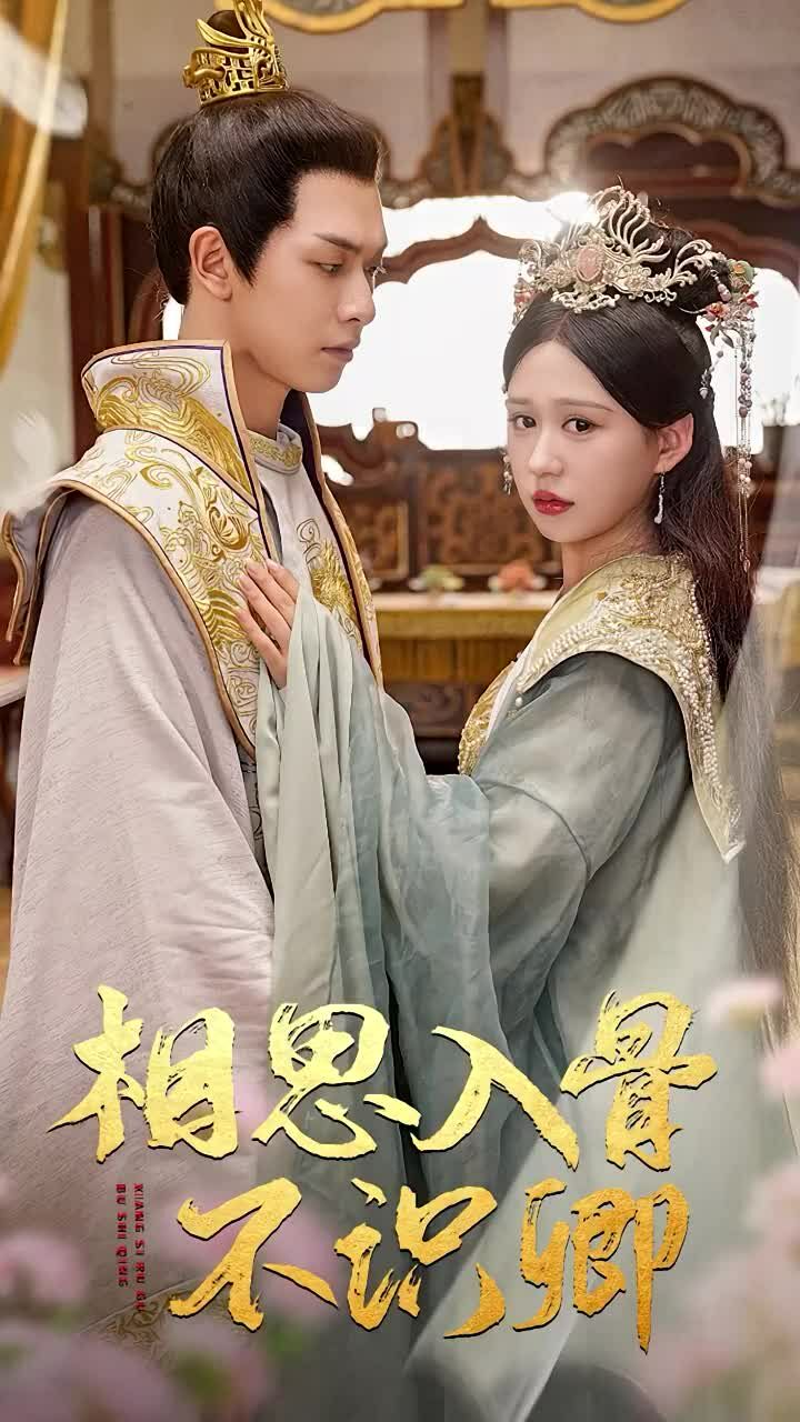 相思入骨不识卿第1-20集