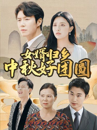 女婿归乡中秋好团圆第15集